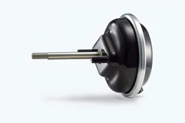 Standard Chamber - Standard Chamber