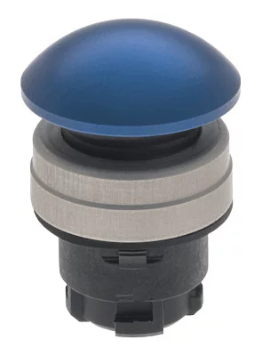 101006295 - EDPBL 101006295 - EDPBL