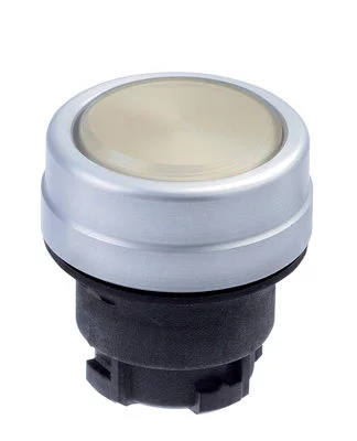 101006269 - EDMGB 101006269 - EDMGB