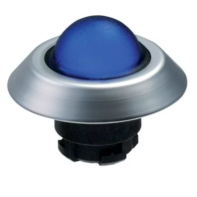 101174524 - NMLHBL 101174524 - NMLHBL