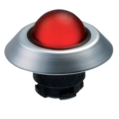 101174528 - NMLHRT 101174528 - NMLHRT