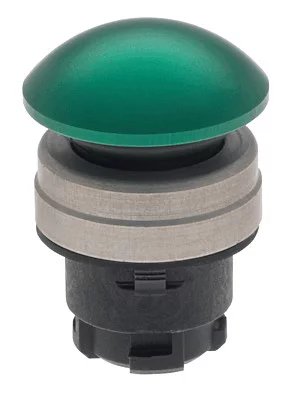 101006293 - EDPGN 101006293 - EDPGN