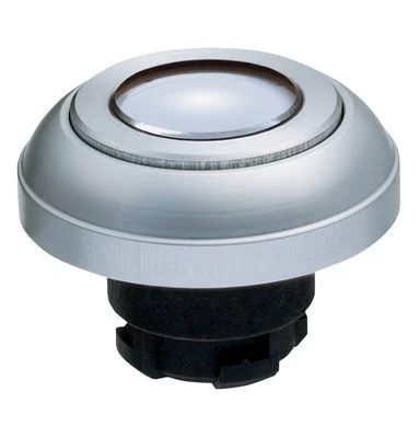 101188251 - RDLWS 101188251 - RDLWS