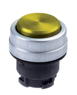 101006358 - EDTRGB 101006358 - EDTRGB