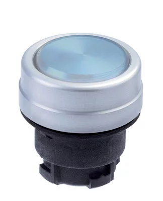 101006273 - EDMBL 101006273 - EDMBL