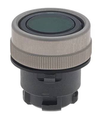 101006404 - EDLGN 101006404 - EDLGN