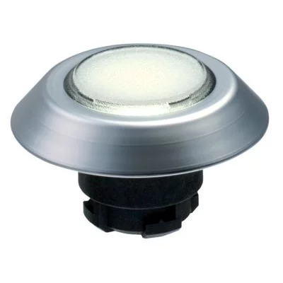 101174523 - NMLWS 101174523 - NMLWS