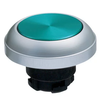 101188243 - RDTGN 101188243 - RDTGN