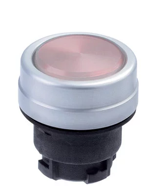 101006270 - EDMRT 101006270 - EDMRT