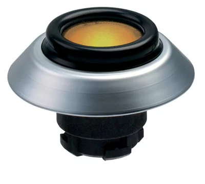 101163550 - NDLGR/GB 101163550 - NDLGR/GB