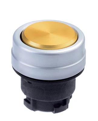 101006231 - EDTGB 101006231 - EDTGB