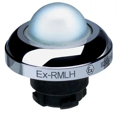 101197361 - EX-RMLHWS 101197361 - EX-RMLHWS