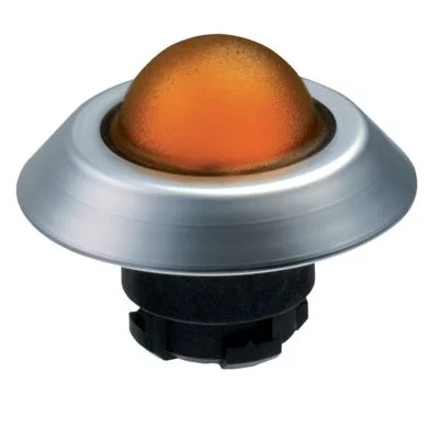 101174526 - NMLHGB 101174526 - NMLHGB