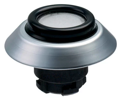 101163548 - NDLGR/WS 101163548 - NDLGR/WS