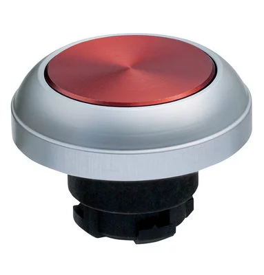 101188240 - RDTRT 101188240 - RDTRT