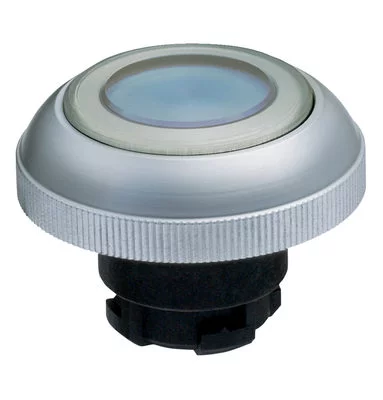 101188172 - RDLMBL 101188172 - RDLMBL