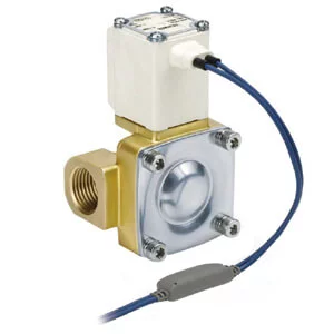 VXD2*5- Pilot Operated- 2 Port Solenoid Valve for Heated Water - VXD2*5, Pilot Operated, 2 Port Solenoid Valve for Heated Water