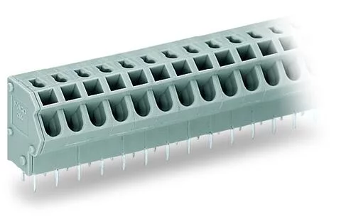 254-462 - PCB terminal block; 2.5 mm²; Pin spacing 5/5.08 mm; 12-pole; PUSH WIRE®; 2,50 mm²; gray