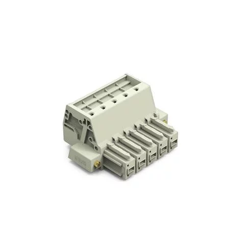 831-3105/107-000 - 1-conductor female connector; Push-in CAGE CLAMP®; 10 mm²; Pin spacing 7.62 mm; 5-pole; 100% protected against mismating; Screw flange; 10,00 mm²; light gray
