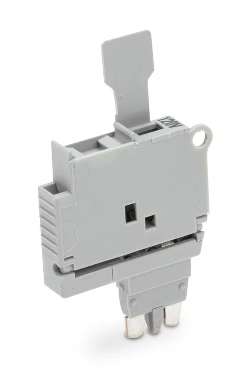 2004-911/1000-867 - Fuse plug with pull-tab; for 5 x 20 mm miniature metric fuse; with indicator lamp; 120 V; 6.1 mm wide