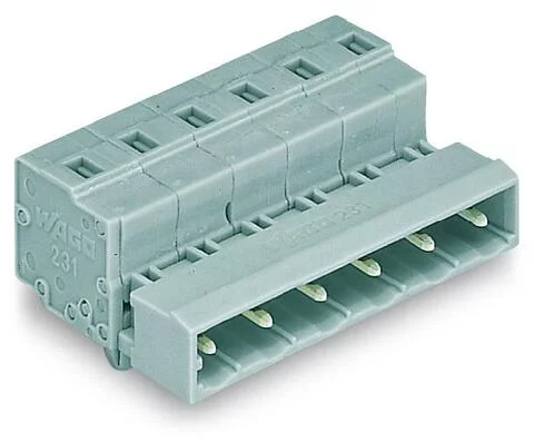 731-610/018-000 - 1-conductor male connector; CAGE CLAMP®; 2.5 mm²; Pin spacing 7.5 mm; 10-pole; DIN-35 rail/panel mounting; Snap-in mounting feet; 2,50 mm²; gray