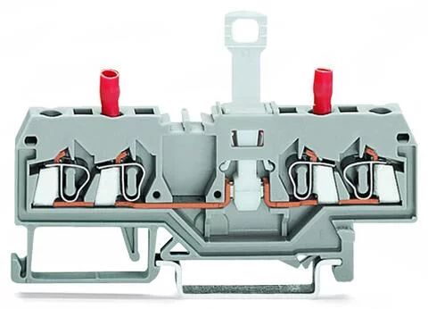 280-829 - 2-conductor disconnect/test terminal block; without pivoting knife disconnect; with touch-proof test sockets; Test socket, red; for DIN-rail 35 x 15 and 35 x 7.5; 2.5 mm²; CAGE CLAMP®; 2,50 mm²; gray