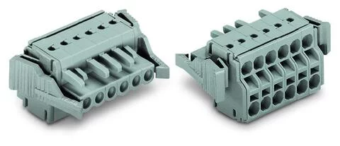 231-2110/037-000 - 2-conductor female connector; Push-in CAGE CLAMP®; 2.5 mm²; Pin spacing 5 mm; 10-pole; Lateral locking levers; 2,50 mm²; gray
