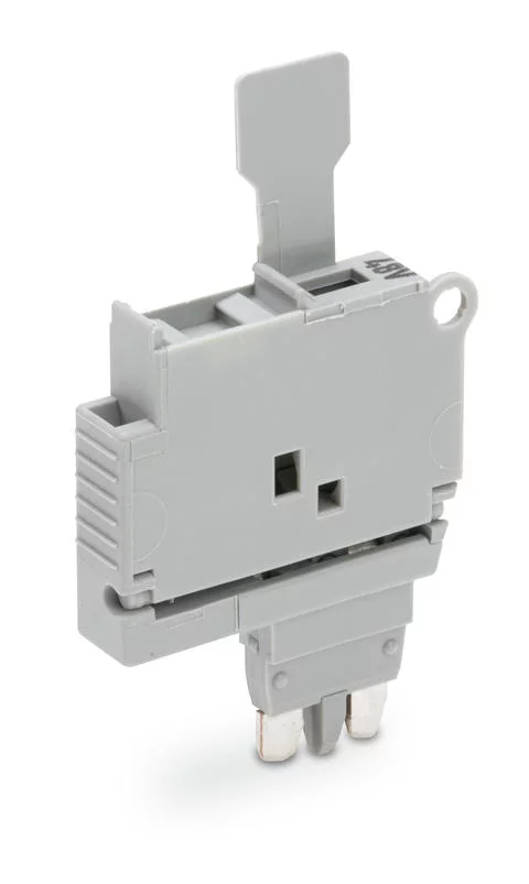2004-911/1000-542 - Fuse plug with pull-tab; for 5 x 20 mm miniature metric fuse; with indicator lamp; 30 - 65 V; 6.1 mm wide