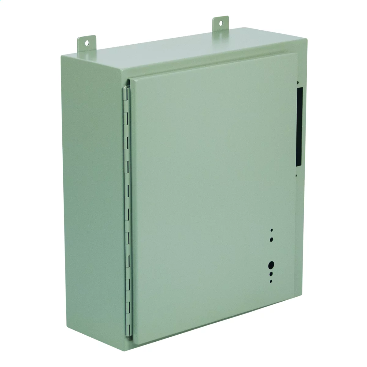 ABN12483710 - N12 Single Door Disconnect 48X37X10 Carbon Steel - Gray